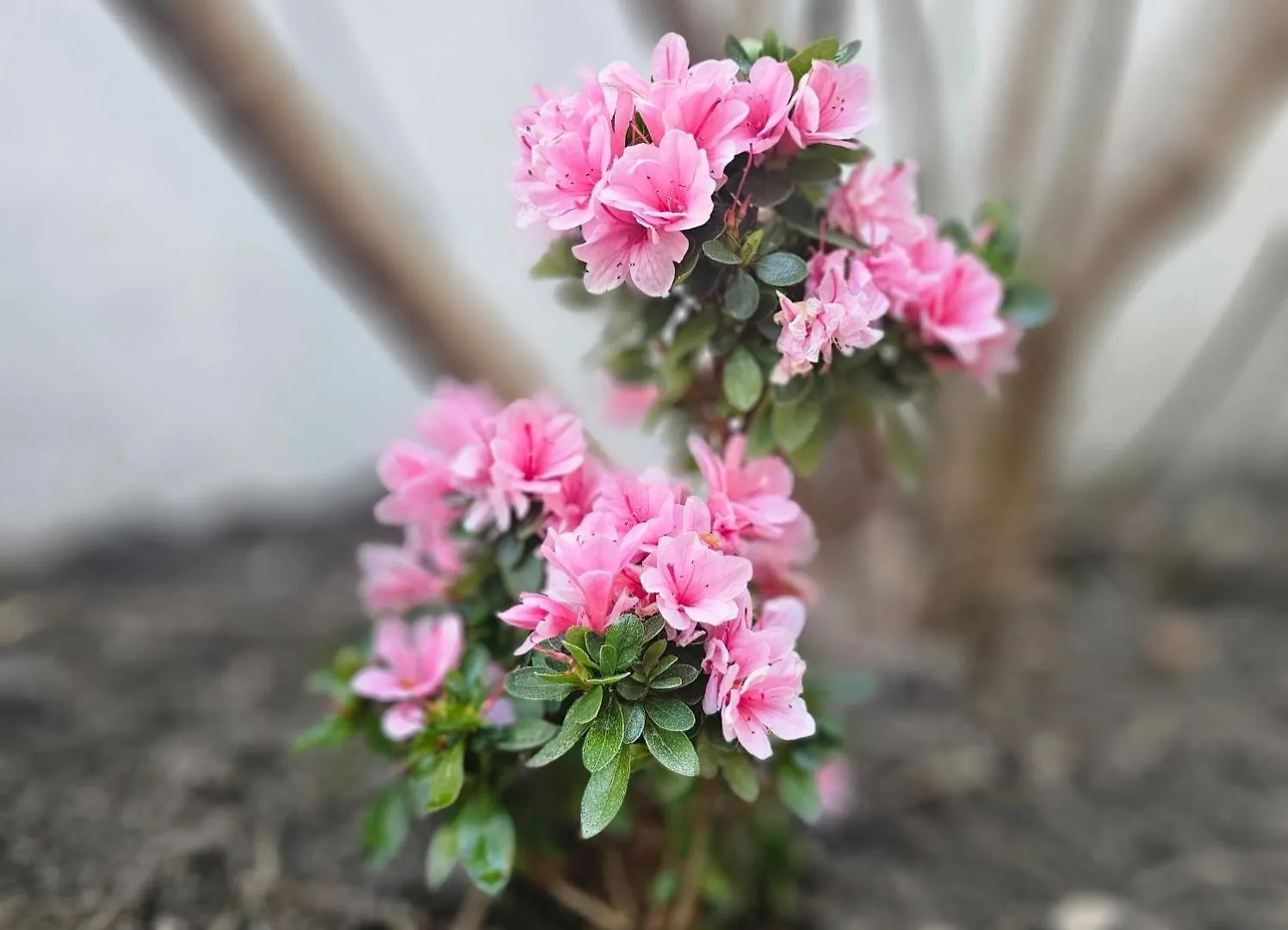 빌라 Soban Stay 부산광역시